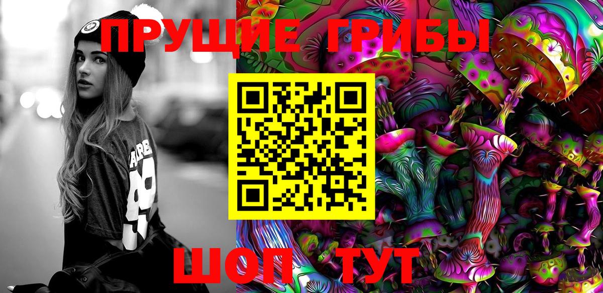 Псилоцибиновые грибы Psilocybe Муравленко